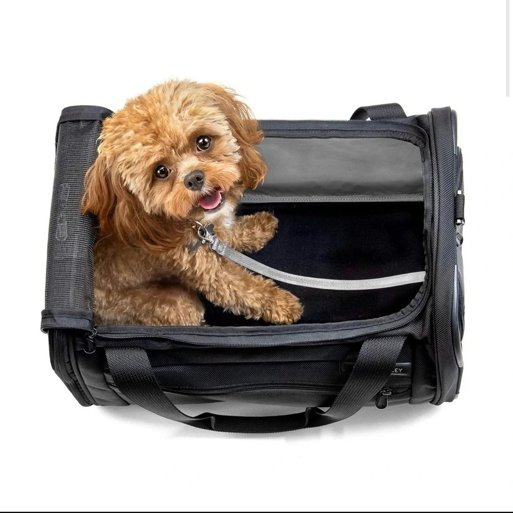 Briggs & Riley Black Dog Carrier